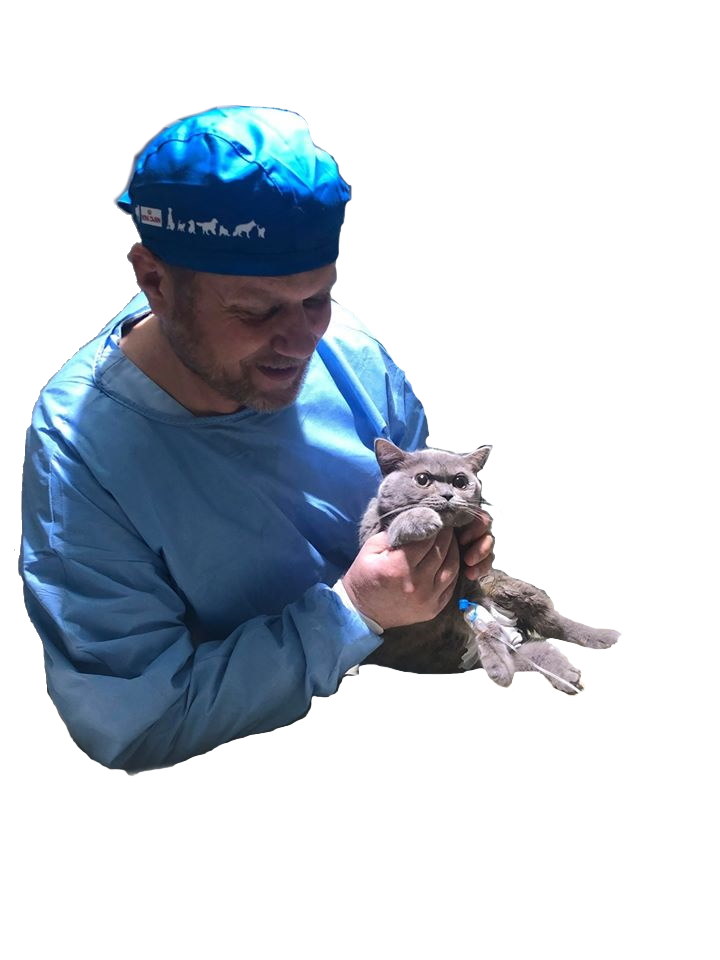 Cabinet Veterinar Sector 3